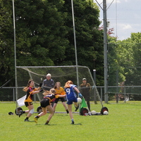 250-img_0429.jpg