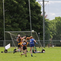 251-img_0430.jpg