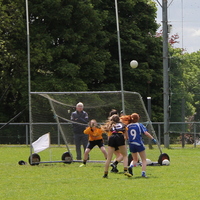 252-img_0431.jpg