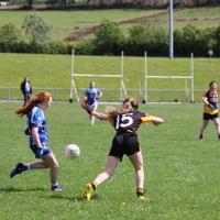 253-img_0436.jpg