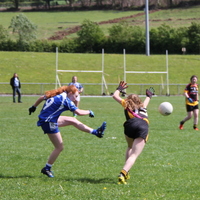 254-img_0437.jpg