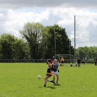 257-img_0442.jpg