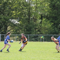 260-img_0449.jpg