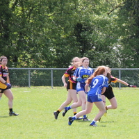 263-img_0452.jpg