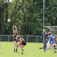 265-img_0454.jpg