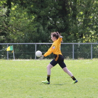 266-img_0455.jpg