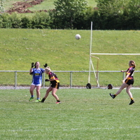 270-img_0463.jpg