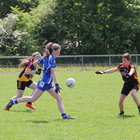 284-img_0490.jpg