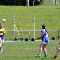 289-img_0497.jpg
