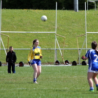 290-img_0498.jpg