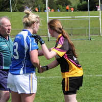 300-img_0516.jpg