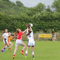 207-img_0311.jpg