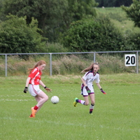 208-img_0314.jpg