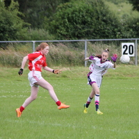 209-img_0315.jpg