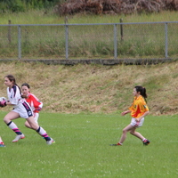 210-img_0316.jpg