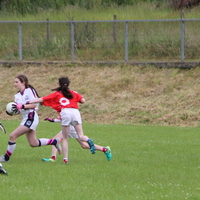 211-img_0318.jpg