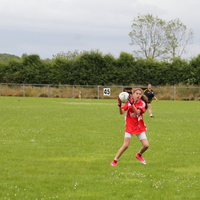 224-img_0337.jpg