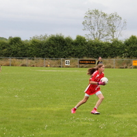 225-img_0338.jpg