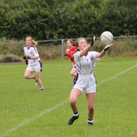 232-img_0346.jpg
