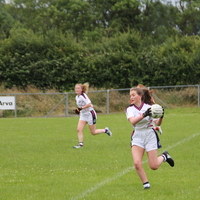233-img_0347.jpg
