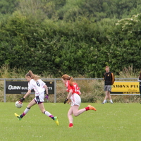 235-img_0349.jpg
