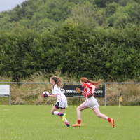 236-img_0350.jpg