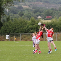243-img_0357.jpg