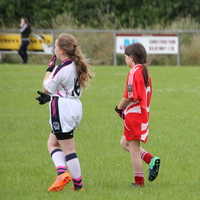 245-img_0360.jpg