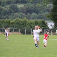 247-img_0364.jpg