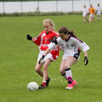 248-img_0365.jpg
