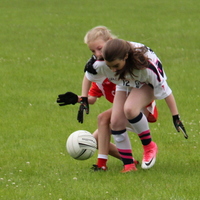 249-img_0367.jpg