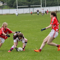 250-img_0368.jpg