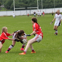 251-img_0369.jpg