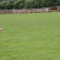 252-img_0371.jpg