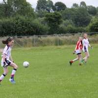258-img_0379.jpg