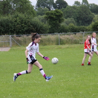 259-img_0380.jpg