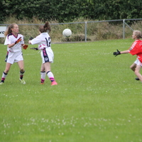 263-img_0385.jpg