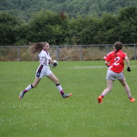 264-img_0386.jpg