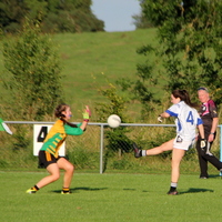122-img_0236.jpg