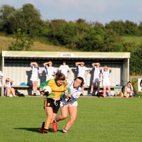 125-img_0241.jpg