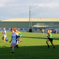 131-img_0248.jpg