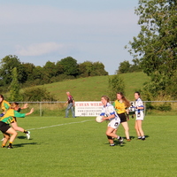 133-img_0251.jpg