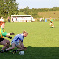 155-img_0295.jpg