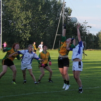 163-img_0306.jpg