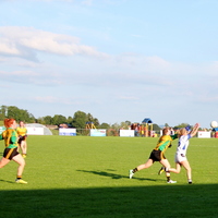 182-img_0331.jpg