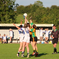 219-img_0374.jpg