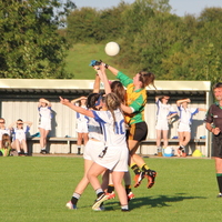 220-img_0375.jpg
