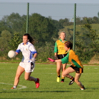 222-img_0381.jpg