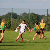 223-img_0382.jpg