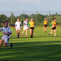 224-img_0384.jpg